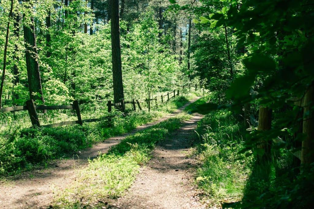 Trojmiasto Nad Jeziorem Dom -Echochata Kamień Eksteriør bilde